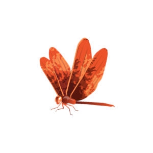 Orange Cosmic Dragonfly